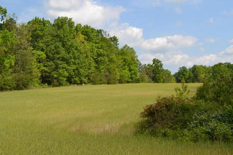 766 Rolling Meadows, Grimsley, TN 38565 photo 6
