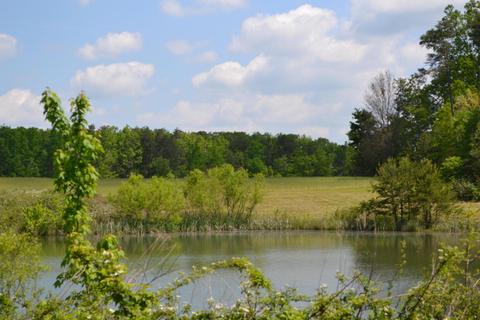 766 Rolling Meadows, Grimsley, TN 38565 photo 4