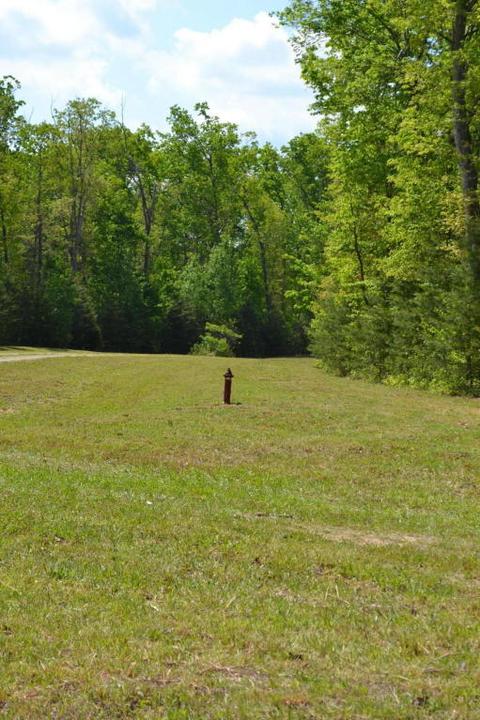 766 Rolling Meadows, Grimsley, TN 38565 photo 10