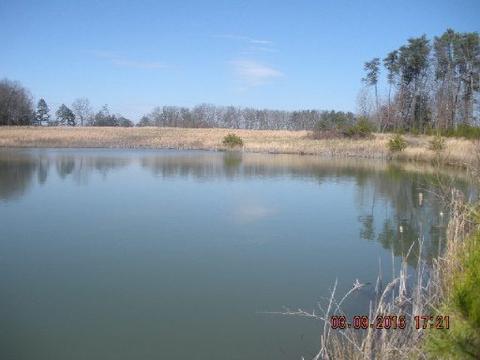 766 Rolling Meadows, Grimsley, TN 38565 photo 8