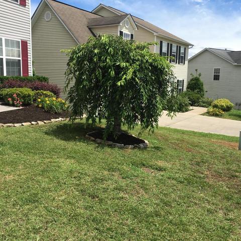 7816 Dawnview Rd, Powell, TN 37849 photo 7