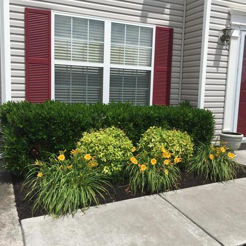 7816 Dawnview Rd, Powell, TN 37849 photo 4