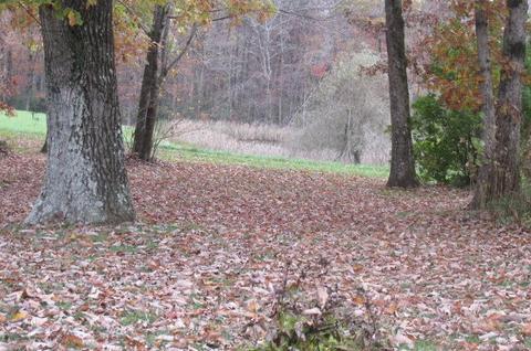 1701 Hall Rd, Clarkrange, TN 38553 photo 16