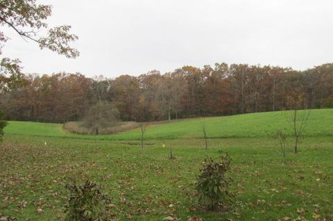1701 Hall Rd, Clarkrange, TN 38553 photo 14