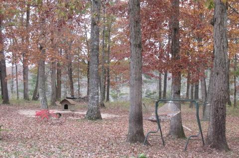 1701 Hall Rd, Clarkrange, TN 38553 photo 17