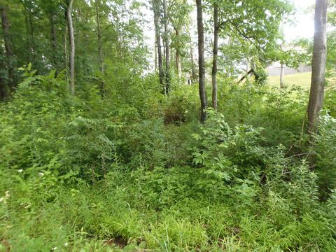 7807 Stanley Rd, Powell, TN 37849 photo 2