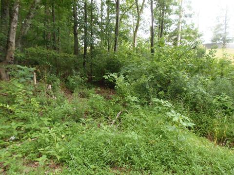 7807 Stanley Rd, Powell, TN 37849 photo 1