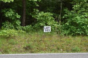 lot103 Halfmoon Shores Dr, Ten Mile, TN 37880