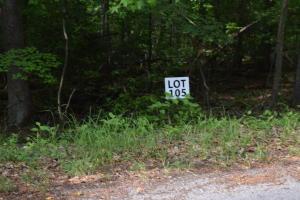 lot105 Treasure Tree Rd, Ten Mile, TN 37880