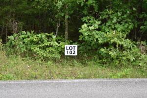 lot106 Treasure Tree Rd, Ten Mile, TN 37880