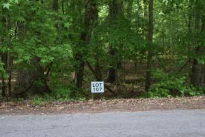 lot107 Treasure Tree Rd, Ten Mile, TN 37880