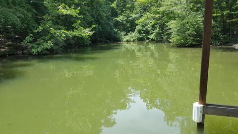 lot108 Treasure Tree Rd, Ten Mile, TN 37880