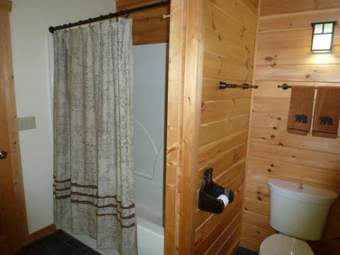 462 Mt John Loop, Townsend, TN 37882 photo 28