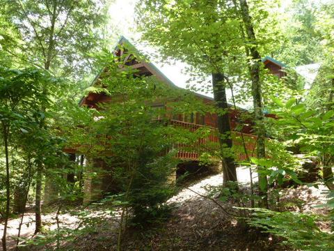 462 Mt John Loop, Townsend, TN 37882 photo 39