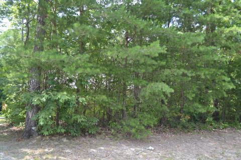 213 Frontier Dr, Grimsley, TN 38565 photo 18