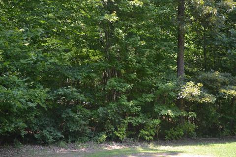 213 Frontier Dr, Grimsley, TN 38565 photo 26