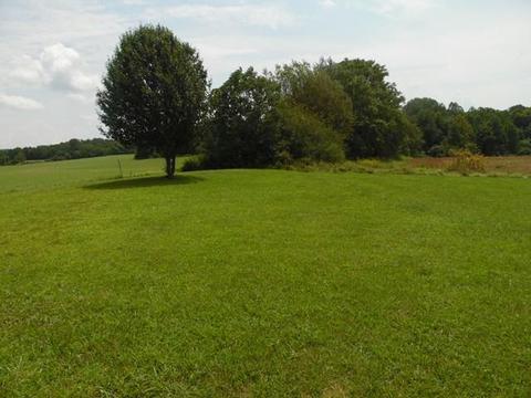 1657 Jared Rd, Walling, TN 38587 photo 28