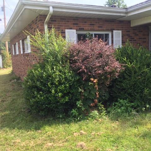 128 Chambers Rd, Robbins, TN 37852 photo 9