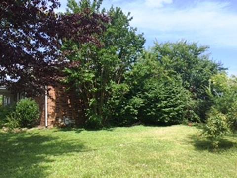 128 Chambers Rd, Robbins, TN 37852 photo 7