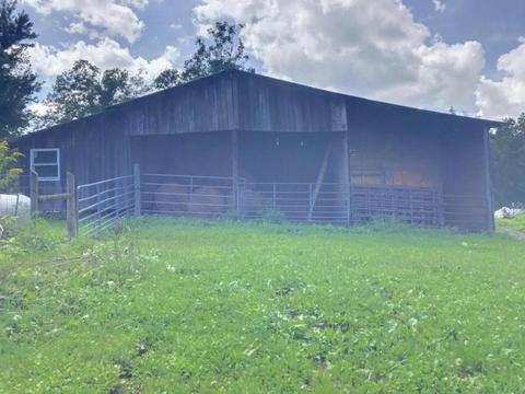 1229 Franklin Loop, Clarkrange, TN 38553 photo 37