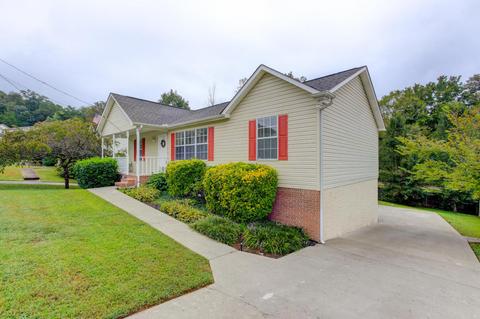 8974 Heathercrest Dr, Powell, TN 37849 photo 1
