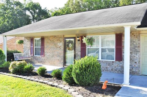 7443 Cotton Patch Rd, Corryton, TN 37721 photo 3
