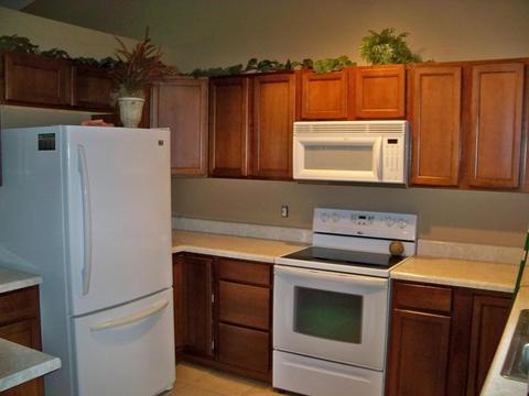 6918 Whitewater Rd, Corryton, TN 37721 photo 8