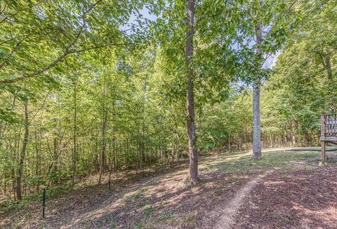 111 Stacey Ln, Heiskell, TN 37754 photo 17