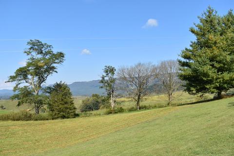 447 Malone Dr, Ewing, VA 24248 photo 19