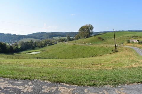 447 Malone Dr, Ewing, VA 24248 photo 20