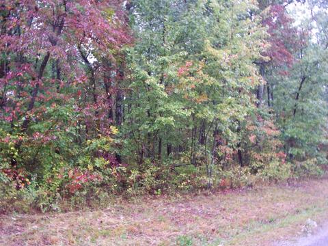Diamond Drive, Monterey, TN 38574