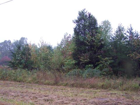 Diamond Drive, Monterey, TN 38574