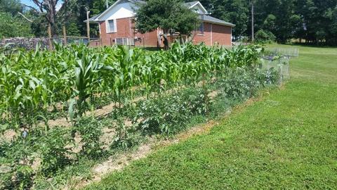 1425 Baldwin Gulf Rd, Clarkrange, TN 38553 photo 19