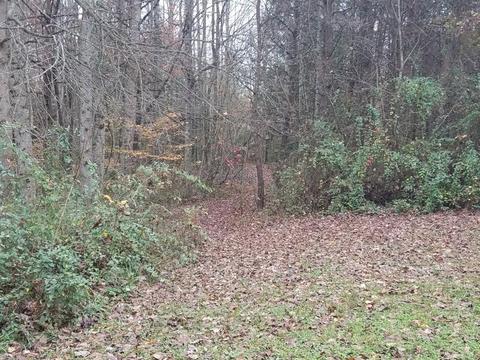 1425 Baldwin Gulf Rd, Clarkrange, TN 38553 photo 22