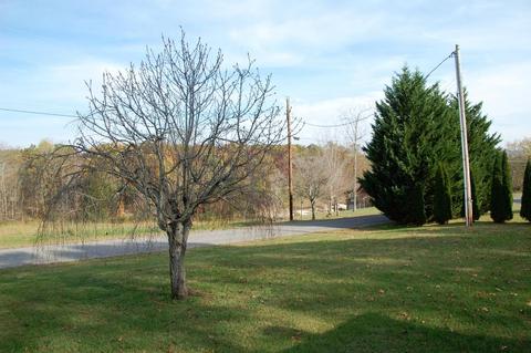 116 Pine Crest Dr, Rutledge, TN 37861 photo 13