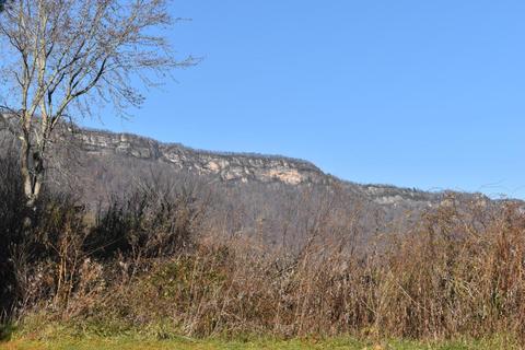 289 Briar Cliff Rd, Ewing, VA 24248 photo 3