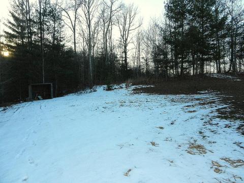 460 Echo Point Rd, Oneida, TN 37841 photo 33