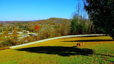 460 Echo Point Rd, Oneida, TN 37841 photo 36