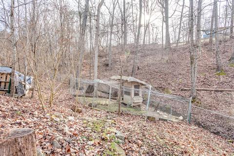 296 Heiskell Rd, Heiskell, TN 37754 photo 31