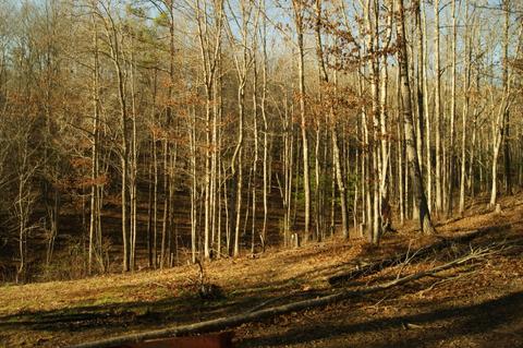 682 Farner Rd, Turtletown, TN 37391 photo 21