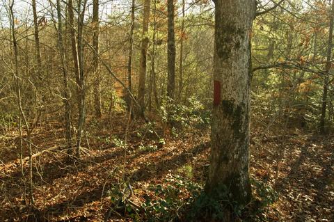 682 Farner Rd, Turtletown, TN 37391 photo 22