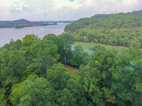 204 E Cove Dr, Greenback, TN 37742 photo 22