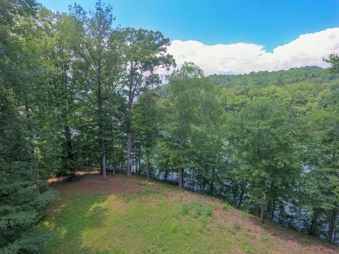 204 E Cove Dr, Greenback, TN 37742 photo 24