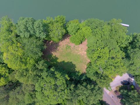 204 E Cove Dr, Greenback, TN 37742 photo 19