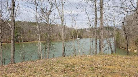 204 E Cove Dr, Greenback, TN 37742 photo 7
