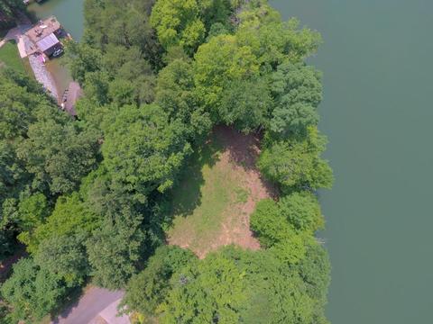 204 E Cove Dr, Greenback, TN 37742 photo 18