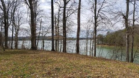 204 E Cove Dr, Greenback, TN 37742 photo 6