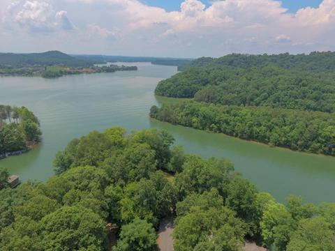 204 E Cove Dr, Greenback, TN 37742 photo 3