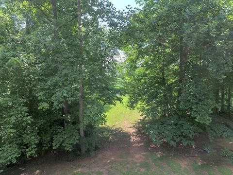 204 E Cove Dr, Greenback, TN 37742 photo 23