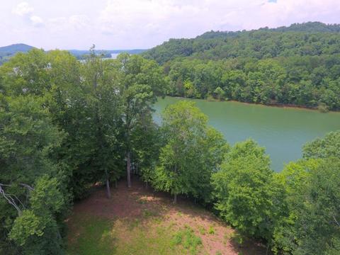 204 E Cove Dr, Greenback, TN 37742 photo 25
